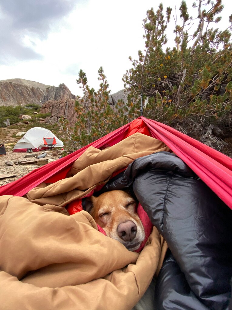 Nemo Sleeping Bags